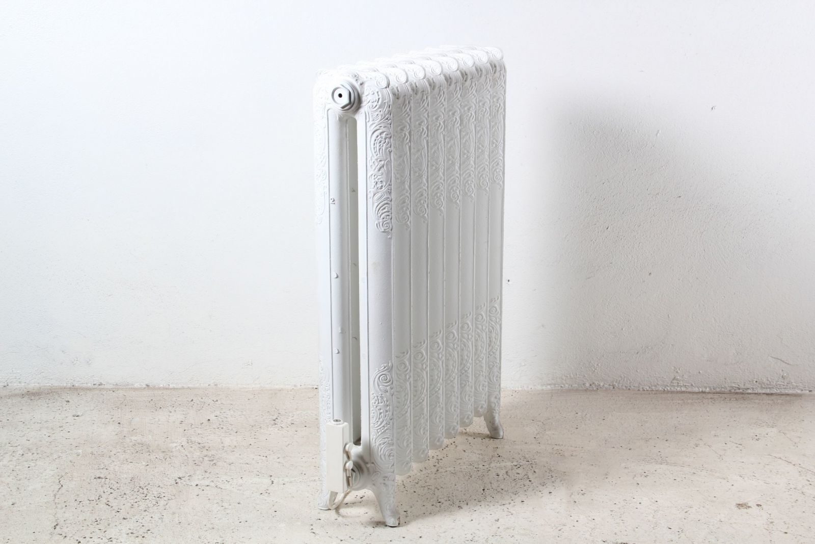 thermoplongeur radiateur fonte lorraine moselle fkthermo